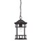 Homeroots 15.25 x 8.75 x 8.75 in. Vista II 1-Light Black Coral Hanging Light 397975 - alternate 1